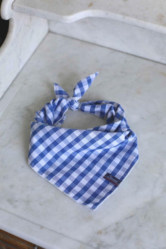 FOULARD VICHY BLEU AIMÉ 🌊